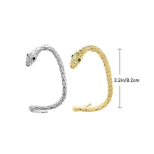Load image into Gallery viewer, Creative Serpentine Zircon Earrings
