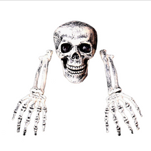 Load image into Gallery viewer, Realistic Skeleton Halloween Decoration