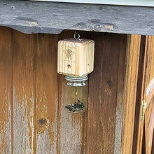 Load image into Gallery viewer, Best Carpenter Bee Trap