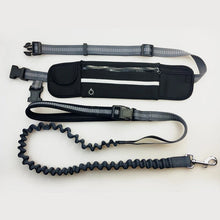 Load image into Gallery viewer, Buddy Bungee Dog Leash