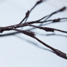 Load image into Gallery viewer, LED Decorative Twig Light