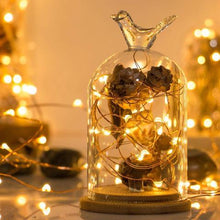 Load image into Gallery viewer, Solar Fairy String Light