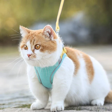 Load image into Gallery viewer, Cat Vest Harness and Leash Set