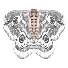 Load image into Gallery viewer, Lady's Butterfly Shawl