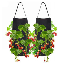 Load image into Gallery viewer, Hanging Strawberry Planting Bag