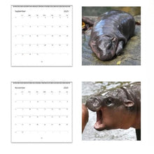 Load image into Gallery viewer, Moo Deng Calendar