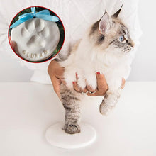 Load image into Gallery viewer, Clay Pet Paw Impression Moulding Kit
