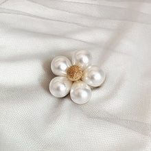 Load image into Gallery viewer, Amherst Brooch